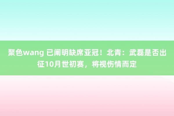 聚色wang 已阐明缺席亚冠！北青：武磊是否出征10月世初赛，将视伤情而定