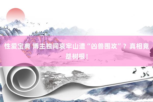 性爱宝典 博主独闯哀牢山遭“凶兽围攻”？真相竟是树根！