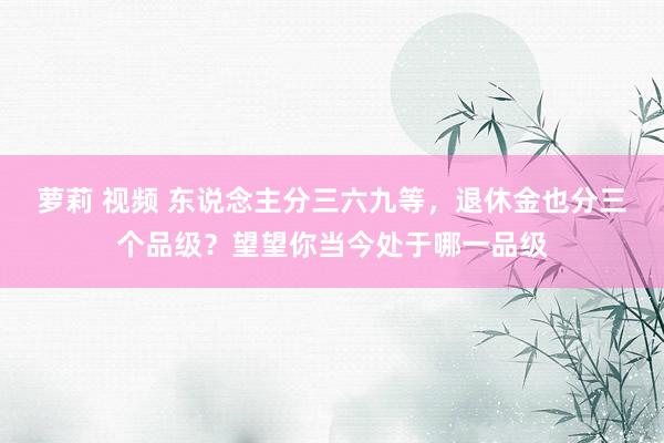 萝莉 视频 东说念主分三六九等，退休金也分三个品级？望望你当今处于哪一品级