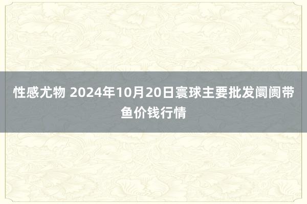 性感尤物 2024年10月20日寰球主要批发阛阓带鱼价钱行情