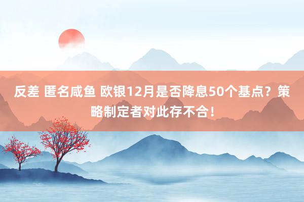 反差 匿名咸鱼 欧银12月是否降息50个基点？策略制定者对此存不合！