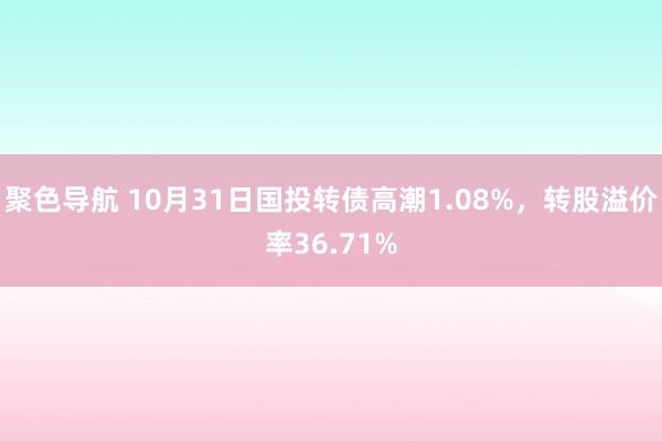 聚色导航 10月31日国投转债高潮1.08%，转股溢价率36.71%