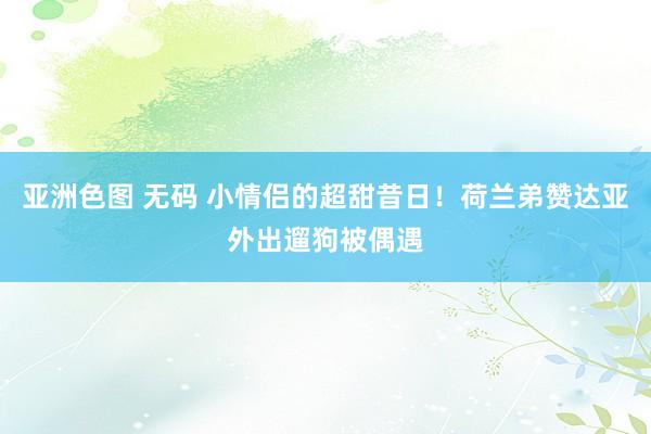 亚洲色图 无码 小情侣的超甜昔日！荷兰弟赞达亚外出遛狗被偶遇
