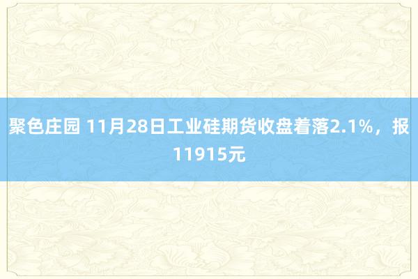 聚色庄园 11月28日工业硅期货收盘着落2.1%，报11915元