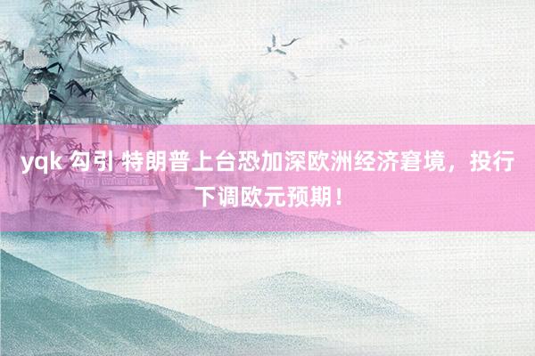 yqk 勾引 特朗普上台恐加深欧洲经济窘境，投行下调欧元预期！
