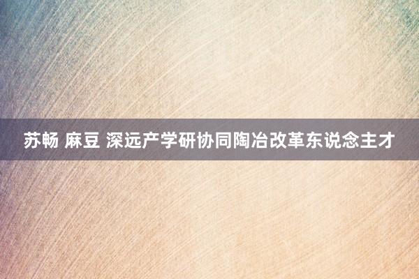 苏畅 麻豆 深远产学研协同陶冶改革东说念主才