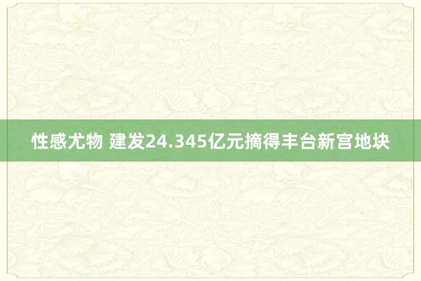性感尤物 建发24.345亿元摘得丰台新宫地块