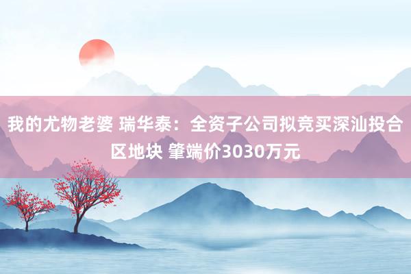 我的尤物老婆 瑞华泰：全资子公司拟竞买深汕投合区地块 肇端价3030万元
