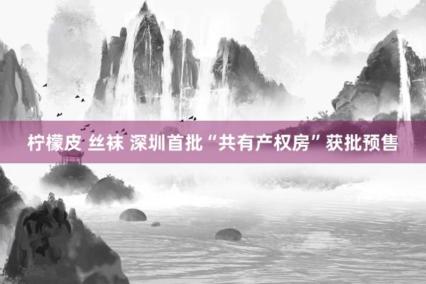 柠檬皮 丝袜 深圳首批“共有产权房”获批预售