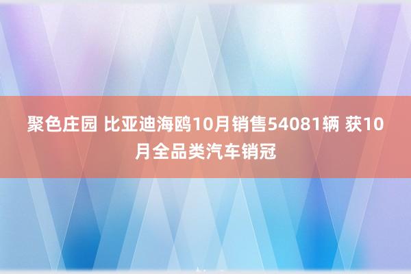 聚色庄园 比亚迪海鸥10月销售54081辆 获10月全品类汽车销冠