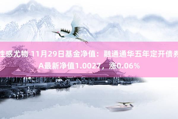 性感尤物 11月29日基金净值：融通通华五年定开债券A最新净值1.0027，涨0.06%