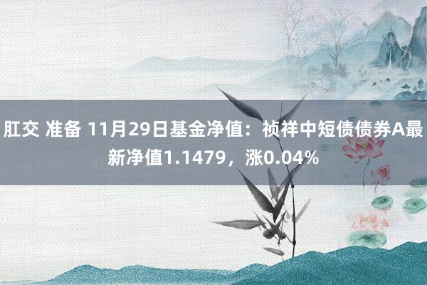 肛交 准备 11月29日基金净值：祯祥中短债债券A最新净值1.1479，涨0.04%