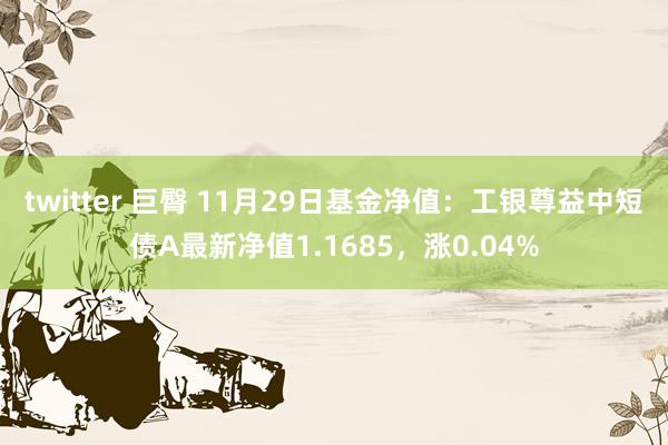 twitter 巨臀 11月29日基金净值：工银尊益中短债A最新净值1.1685，涨0.04%