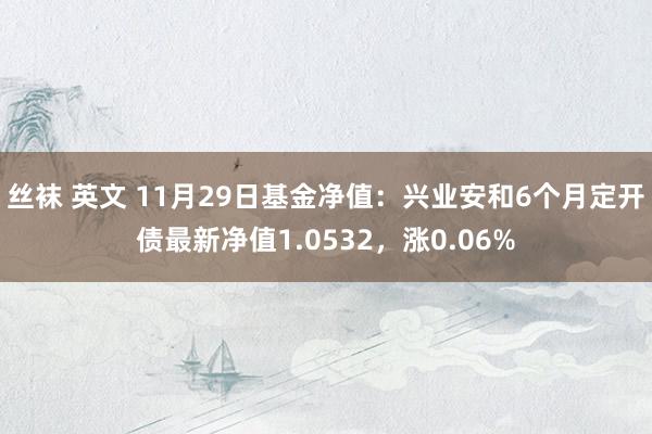丝袜 英文 11月29日基金净值：兴业安和6个月定开债最新净值1.0532，涨0.06%
