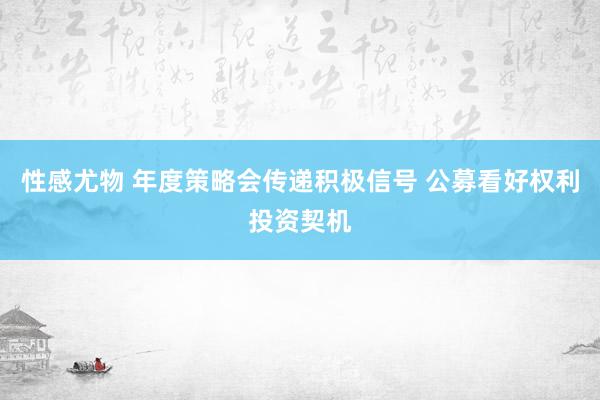 性感尤物 年度策略会传递积极信号 公募看好权利投资契机