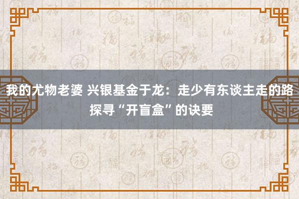 我的尤物老婆 兴银基金于龙：走少有东谈主走的路 探寻“开盲盒”的诀要