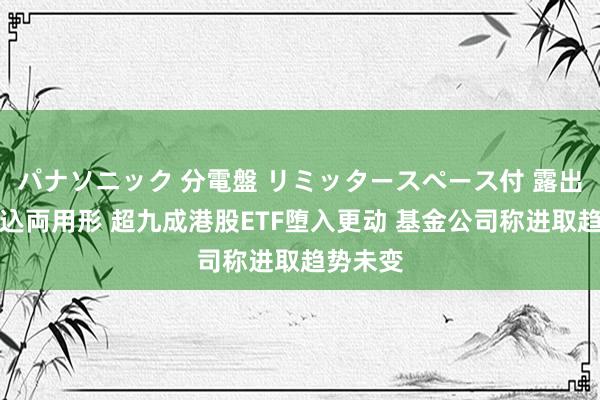 パナソニック 分電盤 リミッタースペース付 露出・半埋込両用形 超九成港股ETF堕入更动 基金公司称进取趋势未变