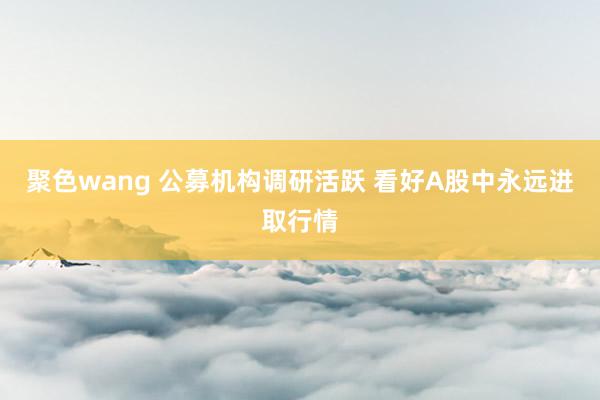 聚色wang 公募机构调研活跃 看好A股中永远进取行情