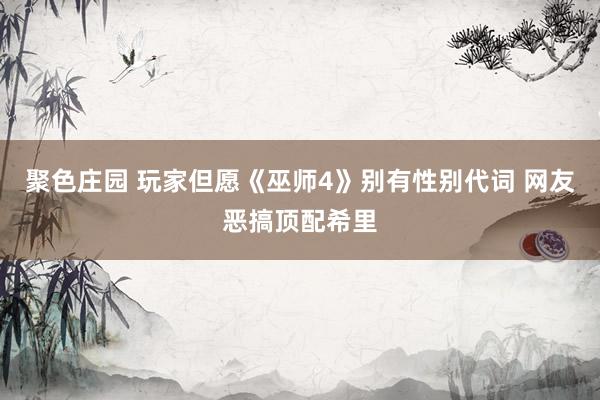聚色庄园 玩家但愿《巫师4》别有性别代词 网友恶搞顶配希里