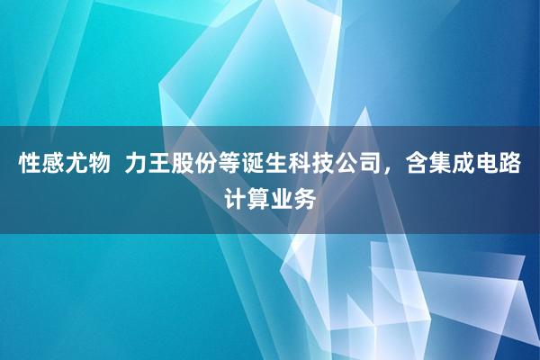 性感尤物  力王股份等诞生科技公司，含集成电路计算业务