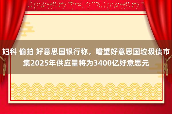 妇科 偷拍 好意思国银行称，瞻望好意思国垃圾债市集2025年供应量将为3400亿好意思元