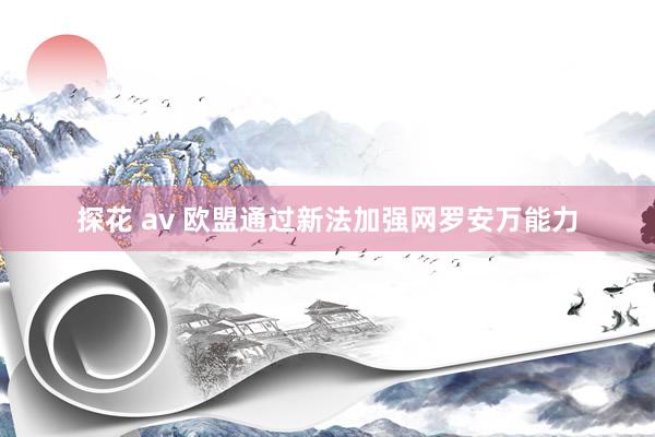 探花 av 欧盟通过新法加强网罗安万能力