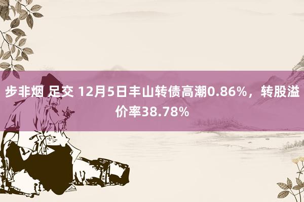 步非烟 足交 12月5日丰山转债高潮0.86%，转股溢价率38.78%