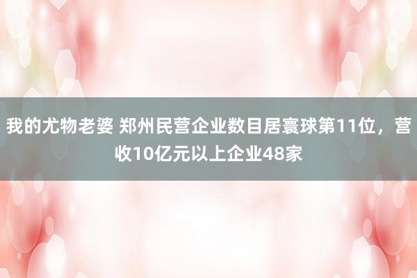 我的尤物老婆 郑州民营企业数目居寰球第11位，营收10亿元以上企业48家
