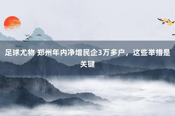 足球尤物 郑州年内净增民企3万多户，这些举措是关键