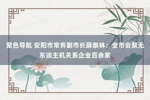 聚色导航 安阳市常务副市长薛崇林：全市会聚无东谈主机关系企业百余家