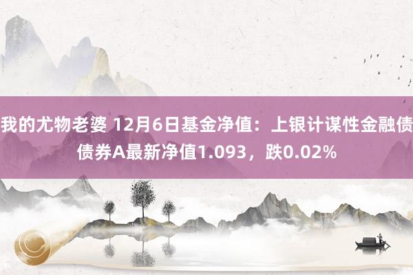 我的尤物老婆 12月6日基金净值：上银计谋性金融债债券A最新净值1.093，跌0.02%