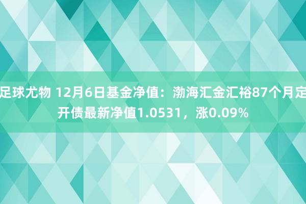 足球尤物 12月6日基金净值：渤海汇金汇裕87个月定开债最新净值1.0531，涨0.09%