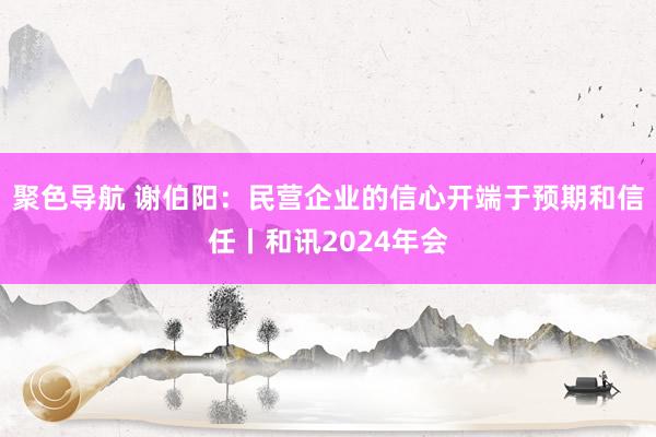 聚色导航 谢伯阳：民营企业的信心开端于预期和信任丨和讯2024年会