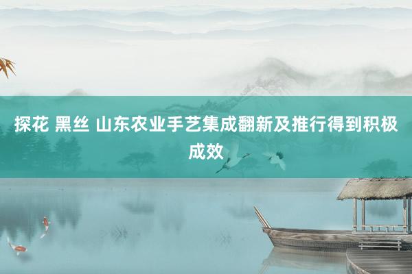 探花 黑丝 山东农业手艺集成翻新及推行得到积极成效