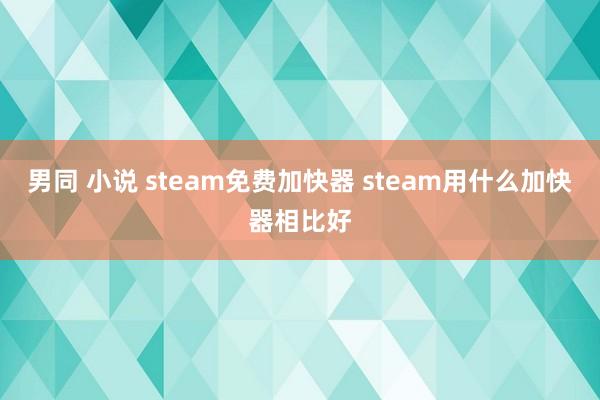 男同 小说 steam免费加快器 steam用什么加快器相比好