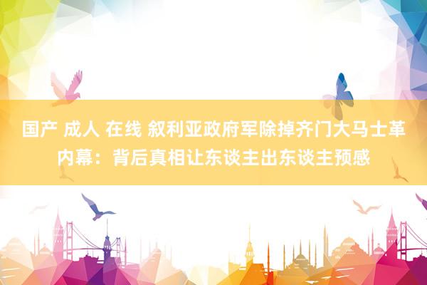 国产 成人 在线 叙利亚政府军除掉齐门大马士革内幕：背后真相让东谈主出东谈主预感
