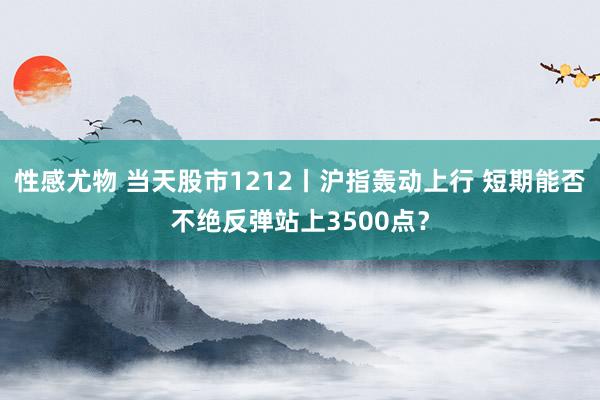 性感尤物 当天股市1212丨沪指轰动上行 短期能否不绝反弹站上3500点？