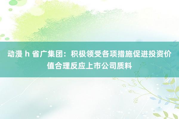 动漫 h 省广集团：积极领受各项措施促进投资价值合理反应上市公司质料