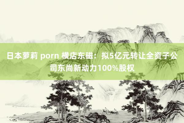日本萝莉 porn 横店东磁：拟5亿元转让全资子公司东尚新动力100%股权