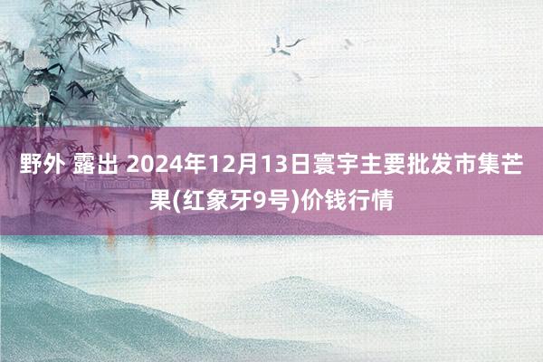 野外 露出 2024年12月13日寰宇主要批发市集芒果(红象牙9号)价钱行情