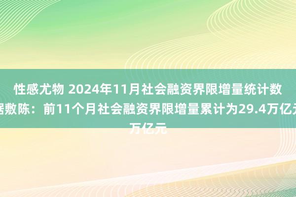 性感尤物 2024年11月社会融资界限增量统计数据敷陈：前11个月社会融资界限增量累计为29.4万亿元