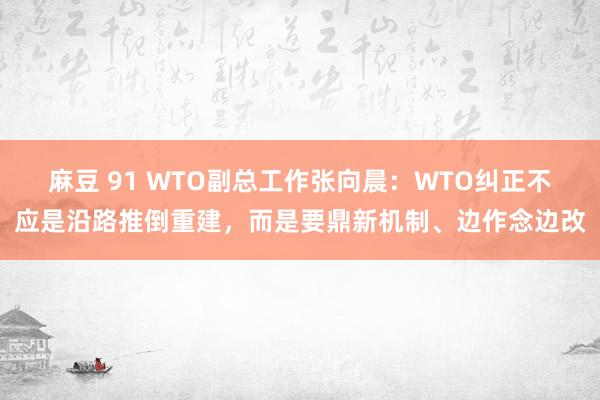 麻豆 91 WTO副总工作张向晨：WTO纠正不应是沿路推倒重建，而是要鼎新机制、边作念边改