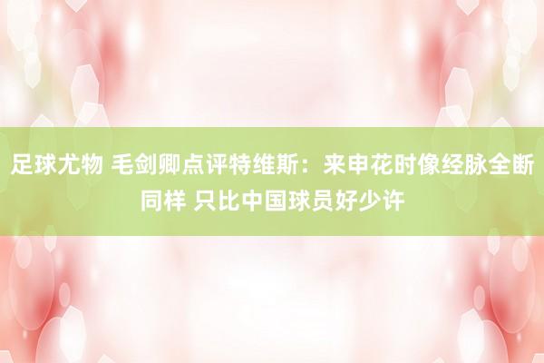 足球尤物 毛剑卿点评特维斯：来申花时像经脉全断同样 只比中国球员好少许