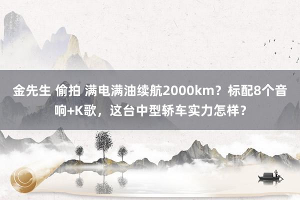 金先生 偷拍 满电满油续航2000km？标配8个音响+K歌，这台中型轿车实力怎样？