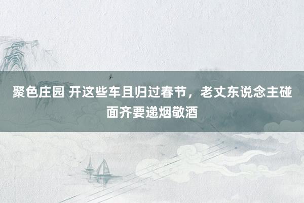 聚色庄园 开这些车且归过春节，老丈东说念主碰面齐要递烟敬酒