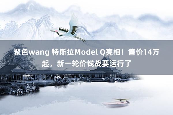 聚色wang 特斯拉Model Q亮相！售价14万起，新一轮价钱战要运行了