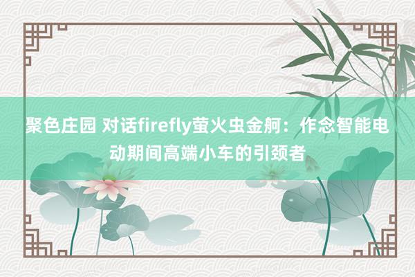 聚色庄园 对话firefly萤火虫金舸：作念智能电动期间高端小车的引颈者