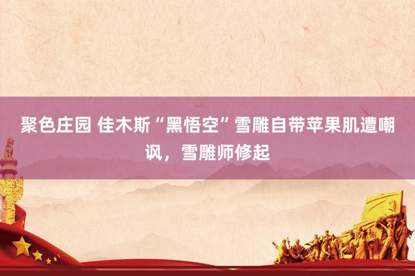 聚色庄园 佳木斯“黑悟空”雪雕自带苹果肌遭嘲讽，雪雕师修起