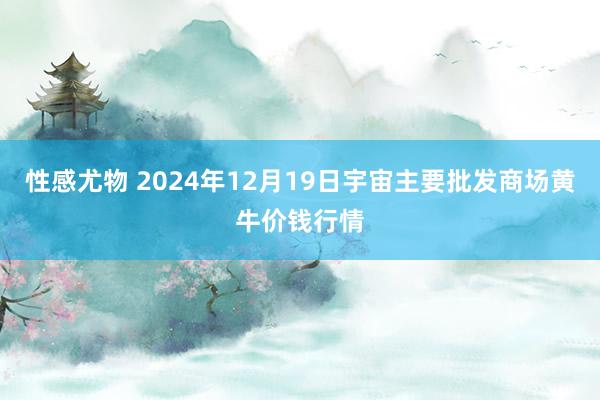 性感尤物 2024年12月19日宇宙主要批发商场黄牛价钱行情