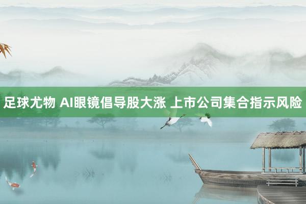 足球尤物 AI眼镜倡导股大涨 上市公司集合指示风险
